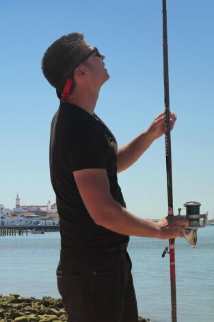 Doradas en entornos urbanos