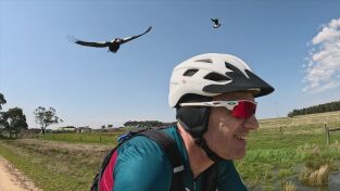 Encuentros muy salvajes: Allí abajo