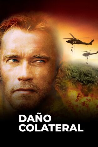 Daño colateral