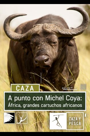 A punto con Michel Coya: África: Grandes cartuchos africanos