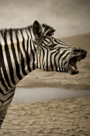 La conservación del cazador Ep 2 Con Alberto Monje Luna