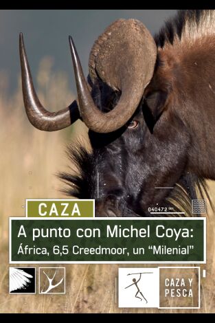 A punto con Michel Coya: África: 6,5 Creedmoor, un “milenial”