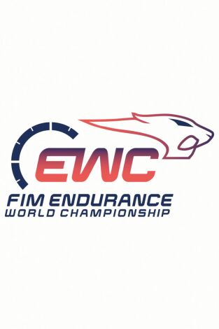 24 horas de Le Mans - Mundial de motociclismo de resistencia (T2026): Carrera