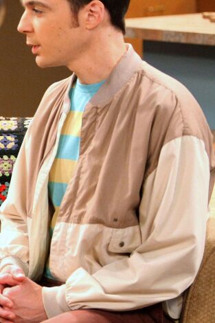 Big Bang (T5): Ep.2 La teoría de la plaga