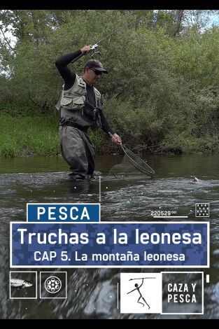 Truchas a la leonesa: La montaña leonesa