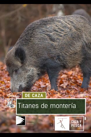 Titanes de montería