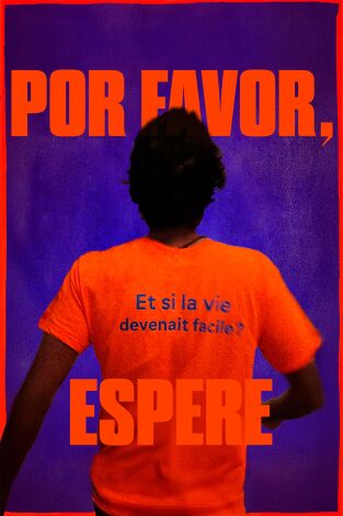 Por favor, espere