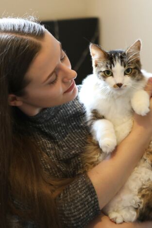 El encantador de gatos: Gatito imposible: rescate en la carretera