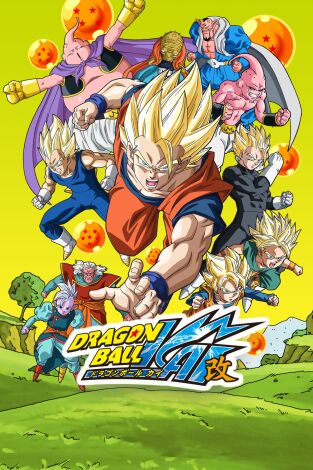 Dragon Ball Z Kai (T2): Ep.54 Un milagro de los de una vez en la vida... ¿Goku y él formarán la fusión definitiva?