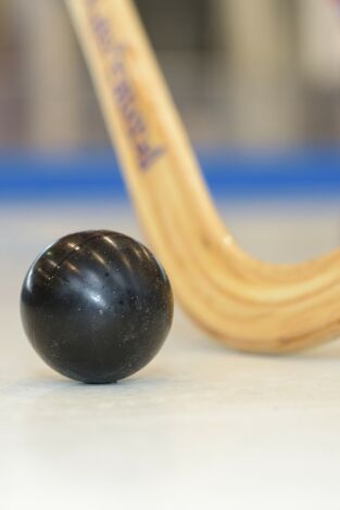 Hockey patines: OK Liga (T25/26): Calafell - Cerdanyola