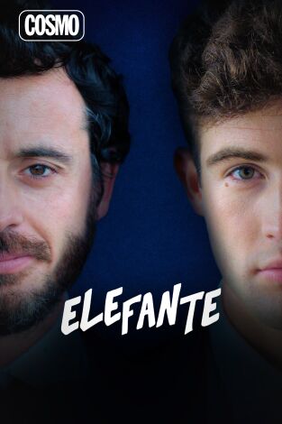 Elefante