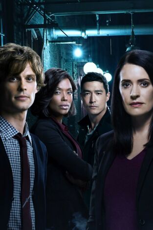 Mentes criminales (T13): Ep.19 Ex Parte