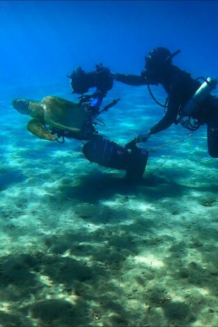 Mediterráneo: un mar en peligro: Envejecer y renacer