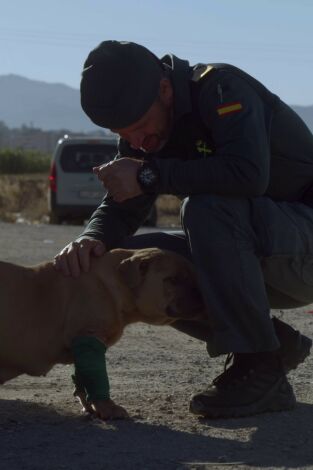 Seprona en acción: Episodio 5