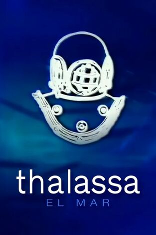 Thalassa curts: Passió "vintage"