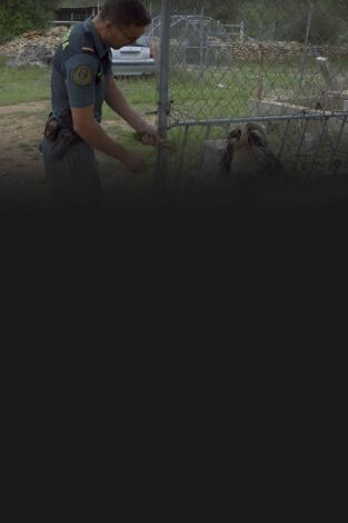 Seprona en acción: Episodio 8