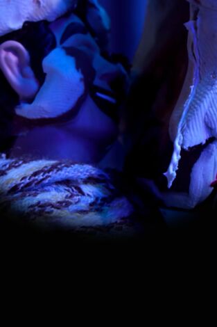 Robot Chicken (T8): Ep.3 Lienzo del Jacuzzi erótico de Zeb y Kevin