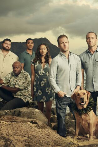Hawai 5.0 (T9): Ep.4 A'ohe Kio Pohaku Nalo I Ke Alo Pali (En la pared del acantilado, ninguna roca que sobresale está...)