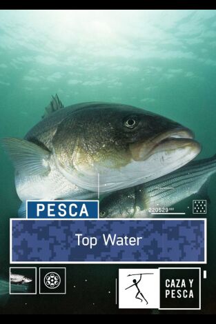 Top water: Sondas