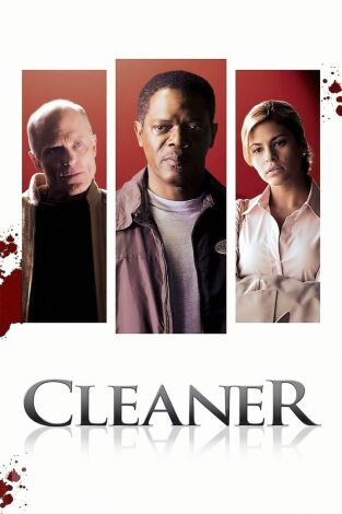 Cleaner
