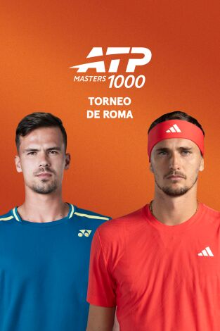Torneo de Roma (T2026): Altmaier - Zverev