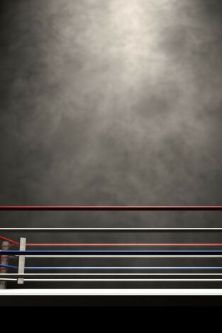 Boxeo: velada Whitaker vs De La Hoya (T1997): Pernell Whitaker vs Óscar de la Hoya