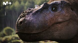 Extras de Caminando entre dinosaurios: Creando al Spinosaurus