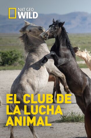 El club de la lucha animal: Enemigos de sangre