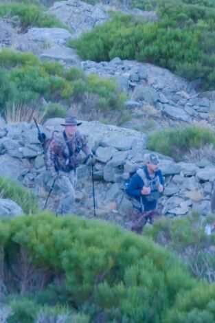 Wild hunting: El Gredos de Marc