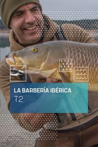 La Barbería Ibérica: En busca del barbo atlántico