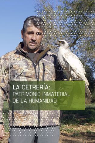 La cetrería: patrimonio inmaterial de la humanidad: Bajo vuelo con Harris