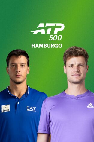 Torneo de Hamburgo (T2026): Darderi - Hanfmann