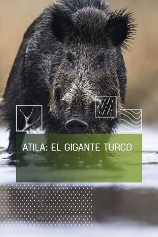 Attila, el gigante turco