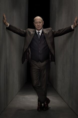 The Blacklist (T2): Ep.7 El cimitarra (Nº 22)