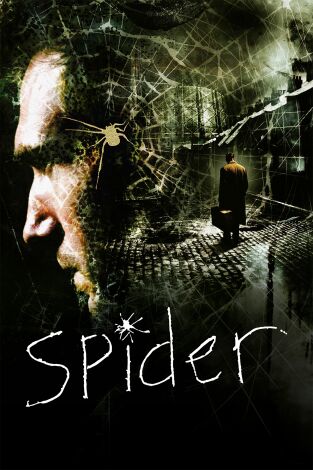 Spider