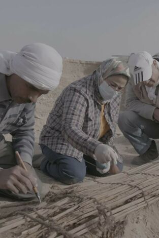 Tumbas de Egipto: últimas excavaciones: Las momias olvidadas de Saqqara
