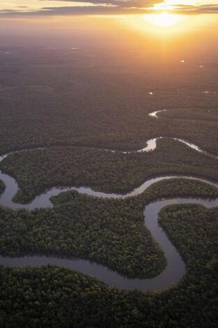 Amazonia americana: Bosques recónditos