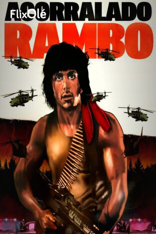 Acorralado