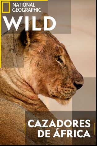 Cazadores de África: El ascenso de Kimba