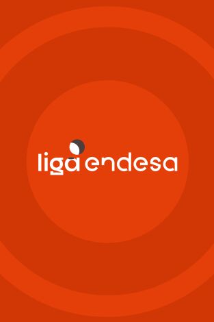 Lliga Endesa