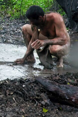 Aventura en pelotas: Brasil: After The Storm