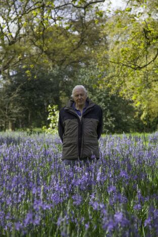 Curiosidades de la naturaleza con Attenborough