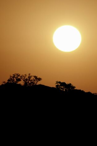 Los reinos del sol