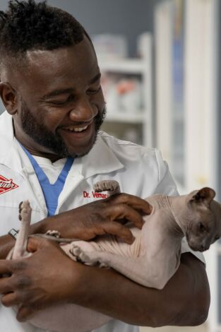 Critter Fixers: Veterinarios rurales: Felinos felices