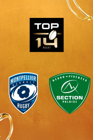 Top 14 Rugby (T25/26): Montpellier - Section Paloise
