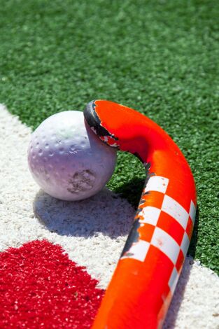 Penalty Corner (T2026): Especial Final Four