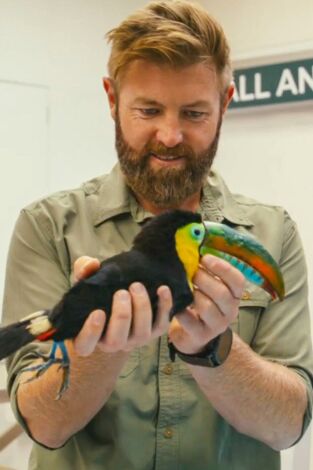 Vantara: santuario de animales: Prescripciones y provisiones