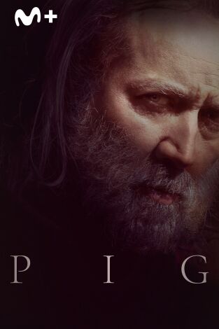 Pig