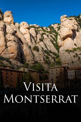 Visita Papa a España: Vigília Montjuïc