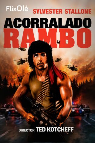 Acorralado